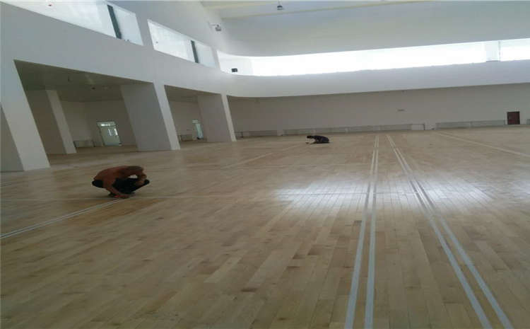 運(yùn)動(dòng)木地板原木