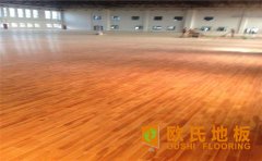 家里建個籃球場，如何設(shè)計