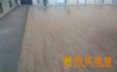 寧夏專(zhuān)業(yè)運(yùn)動(dòng)木地板安裝