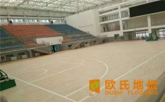 拉薩專(zhuān)用運(yùn)動(dòng)木地板什么牌子好