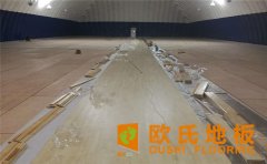 運(yùn)動(dòng)木地板如何選購(gòu)？