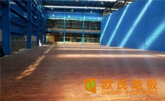 運(yùn)動(dòng)木地板結(jié)構(gòu)系統(tǒng)都有什么？