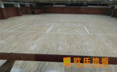 四川室內(nèi)排球館木地板多少錢？